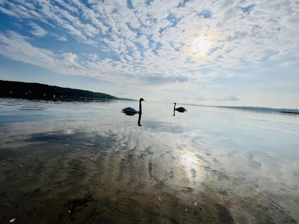 'Kapitaenslounge' Vollsanierte Fewo Mit Blick Auf Die Flensburger Foerde ハリスレー エクステリア 写真